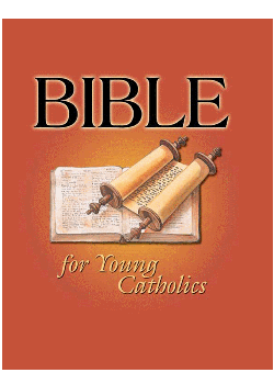 Bible For Young Catholics