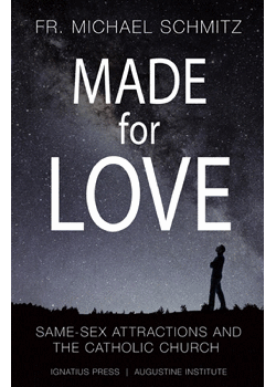 Made For Love Same-Sex Attraction & Catholic Church