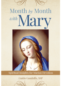 The Miraculous Medal: Stories, Prayers, and Devotions [Book]