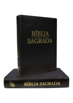 Bíblia Sagrada-Nova tradução na linguagem de hoje (letra grande)
