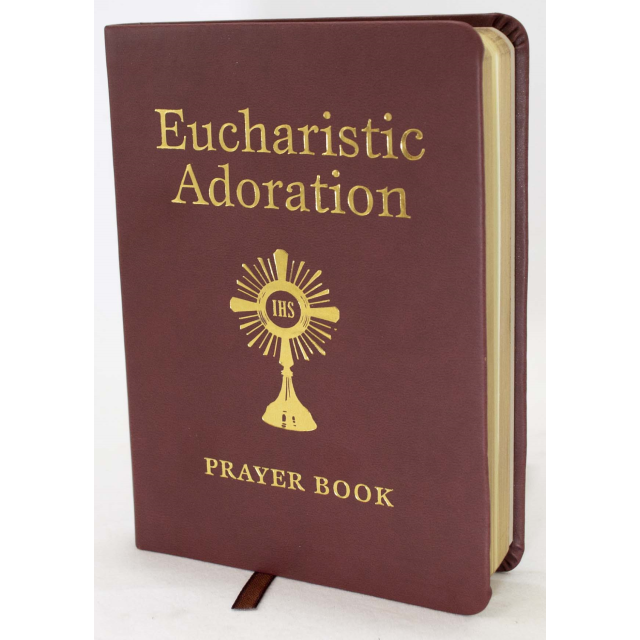 Come To Jesus Kids Book For Eucharistic Adoration Pauline Books and Media